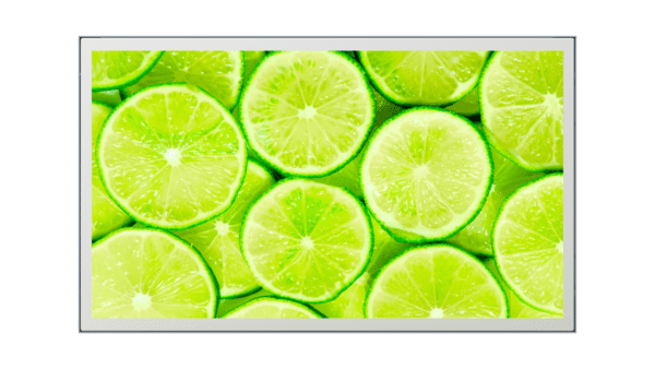 18.5 inch high brightness LCD open frame monitor
